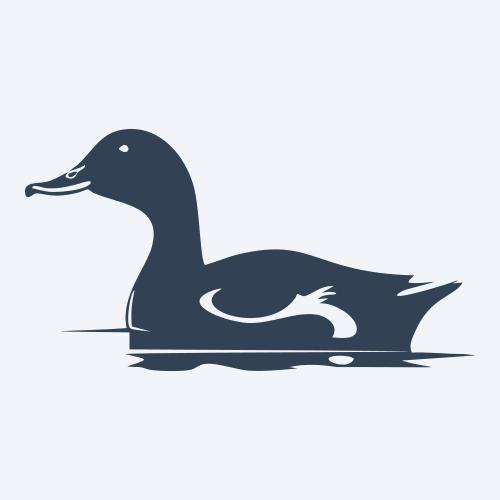 a duck graphic