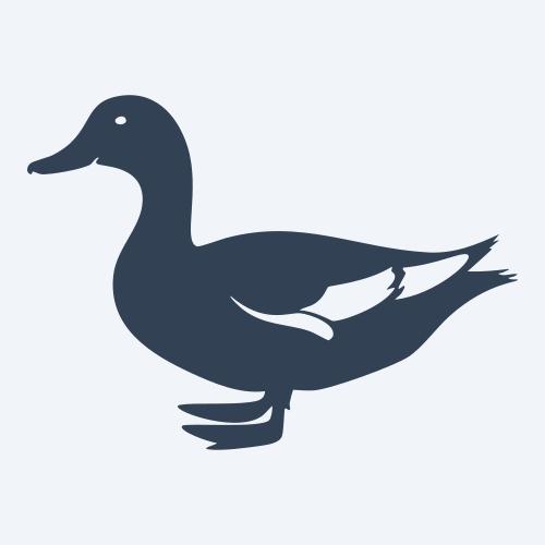 a duck graphic