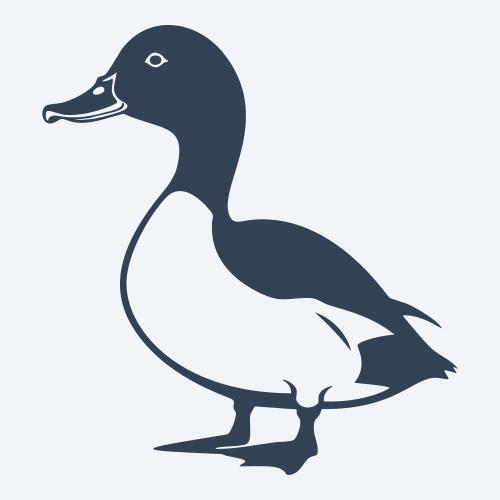 a duck graphic