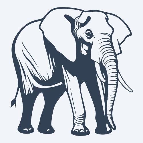 an elephant graphic