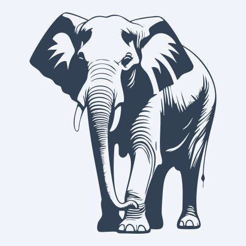 an elephant graphic