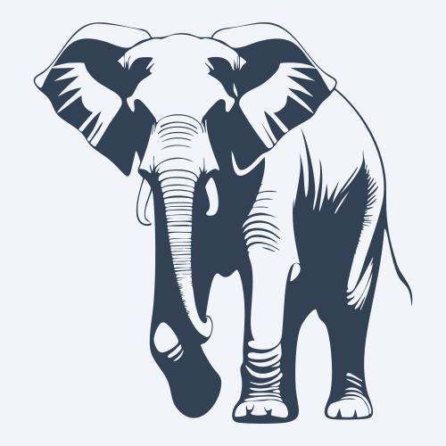an elephant graphic