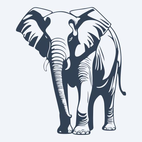 an elephant graphic