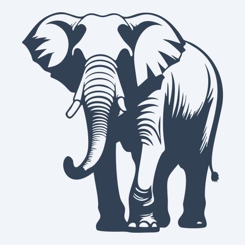 an elephant graphic