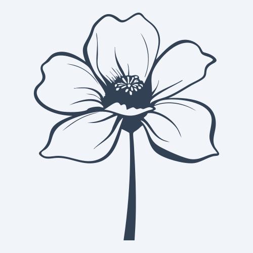 a flower graphic