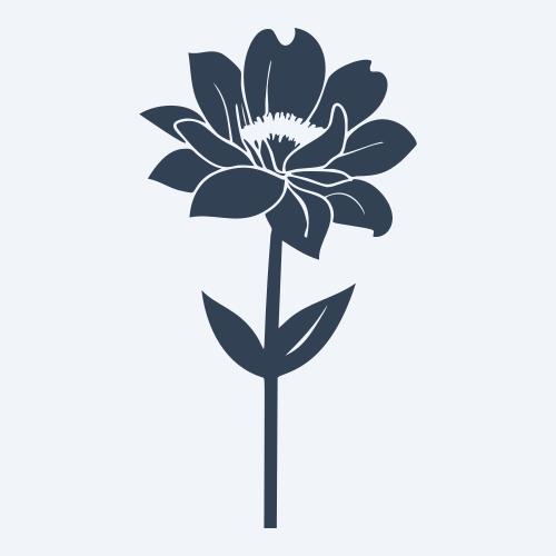 a flower graphic