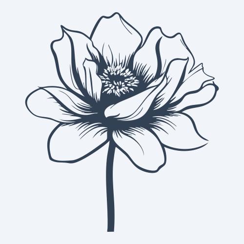 a flower graphic