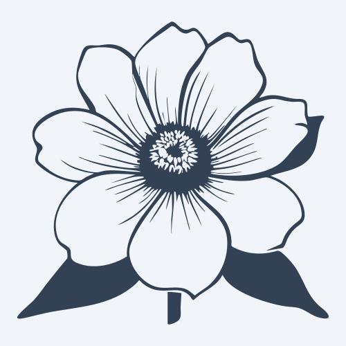 a flower graphic