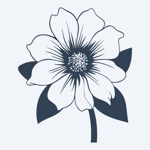 a flower graphic