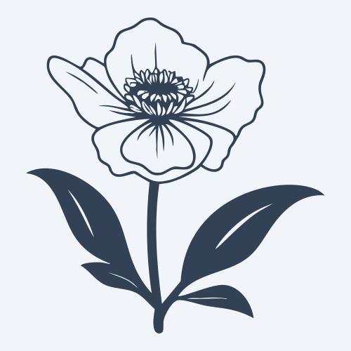 a flower graphic
