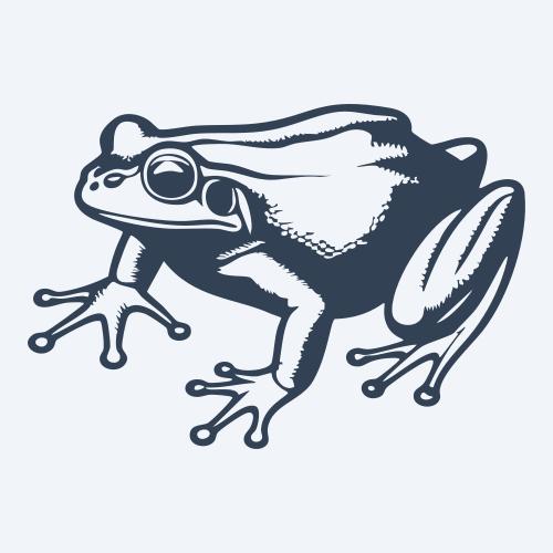 a frog vector