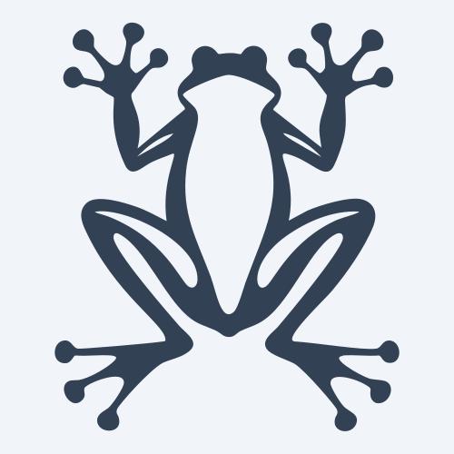 a frog vector