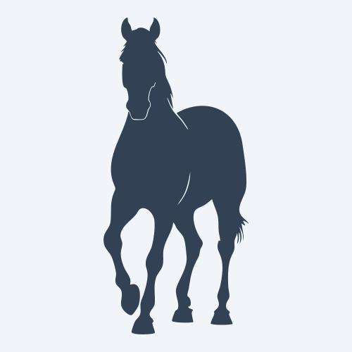 a horse vector