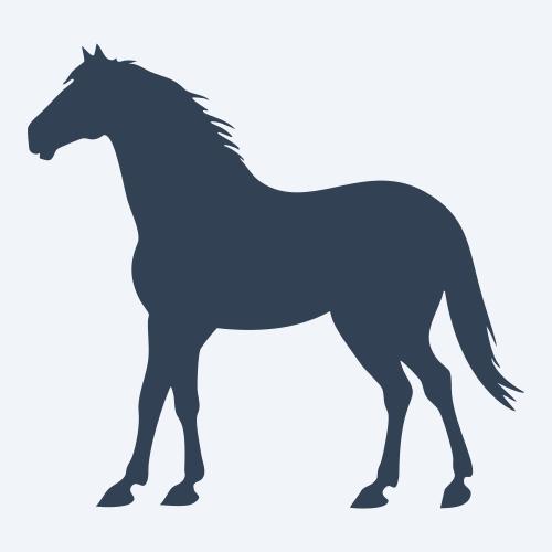 a horse vector