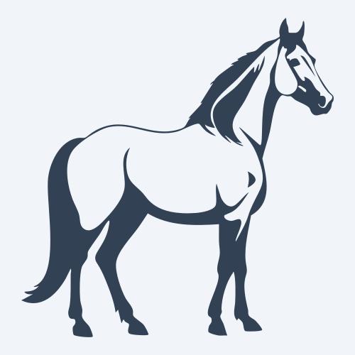 a horse vector