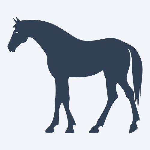 a horse vector
