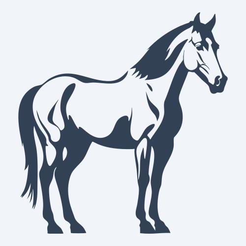 a horse vector