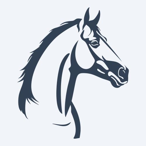 a horse vector