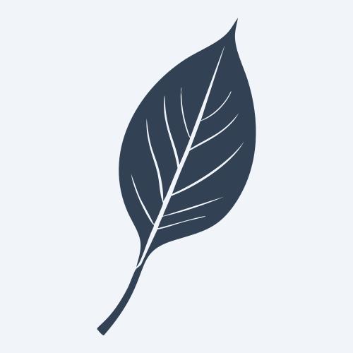 a leaf svg