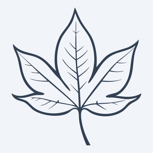 a leaf svg