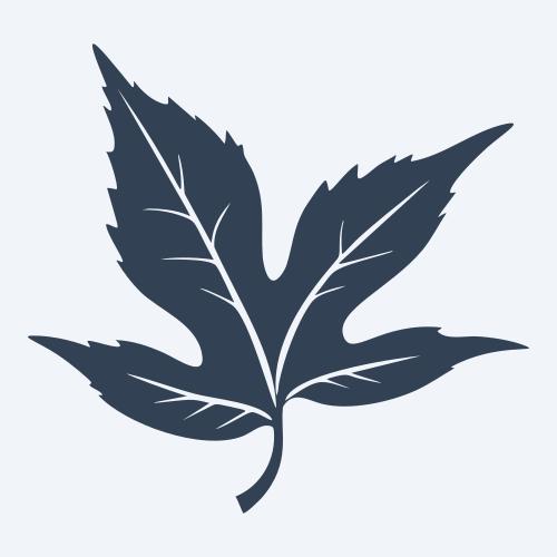 a leaf svg