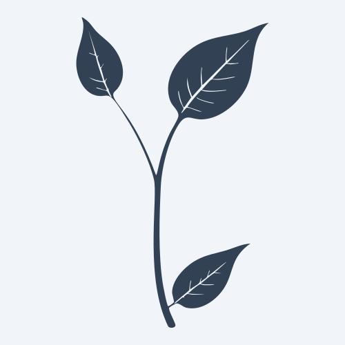 a leaf svg