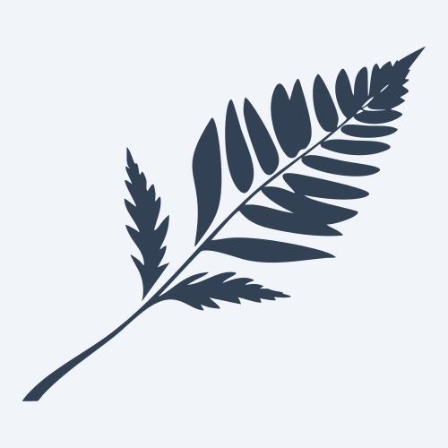 a leaf svg
