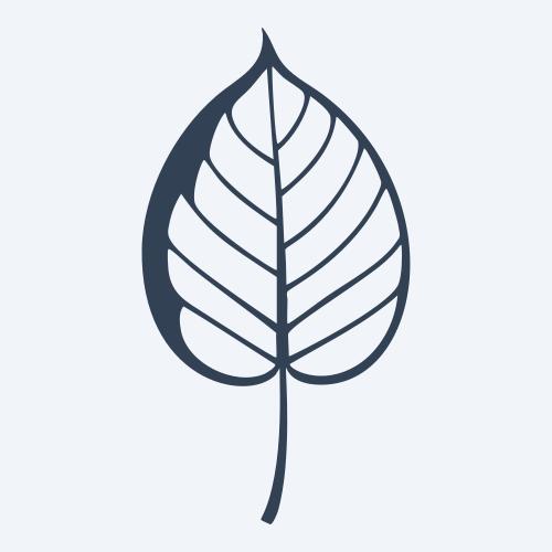 a leaf svg