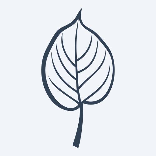 a leaf svg