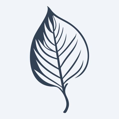 a leaf svg