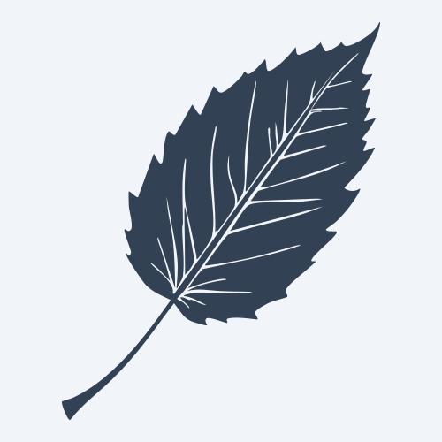 a leaf svg