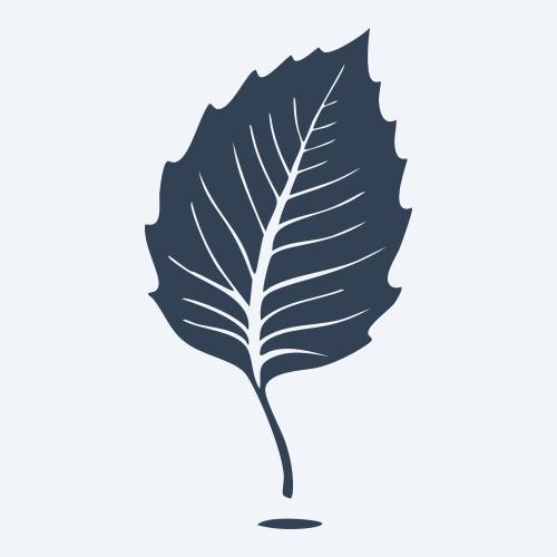 a leaf svg