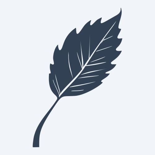 a leaf svg