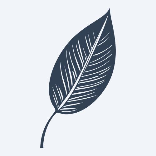 a leaf svg