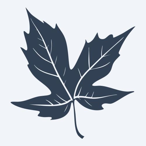 a leaf svg