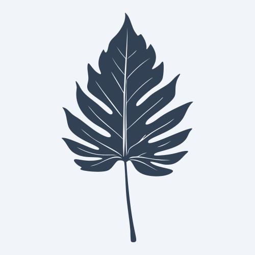 a leaf svg