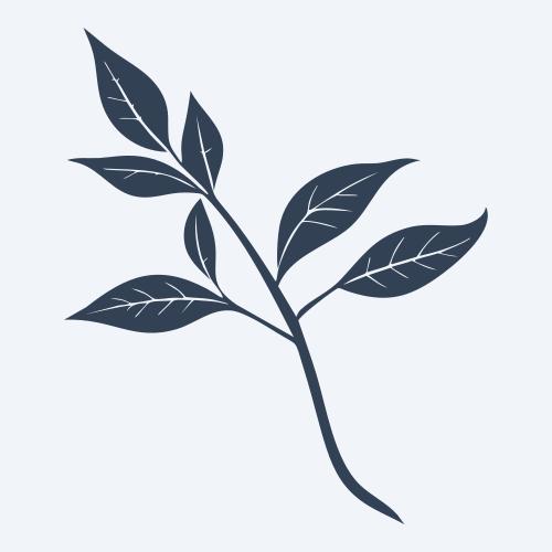 a leaf svg