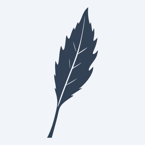 a leaf svg