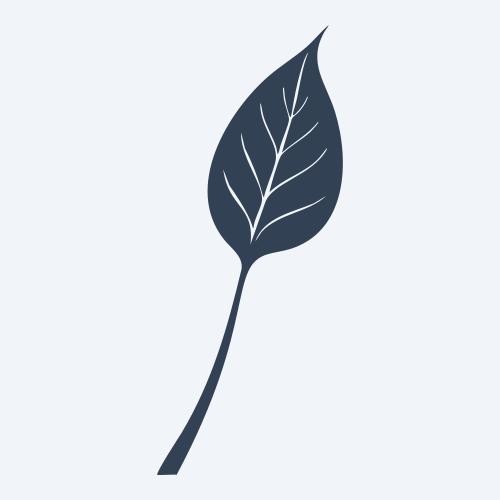 a leaf svg