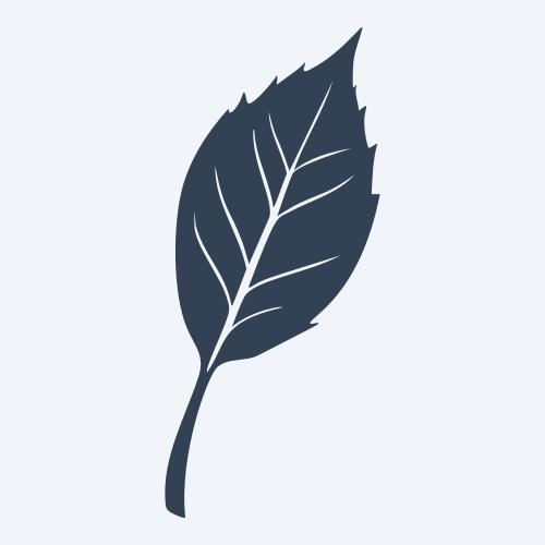 a leaf svg