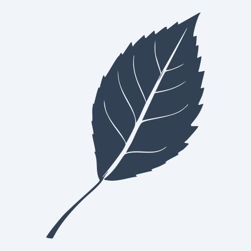a leaf svg