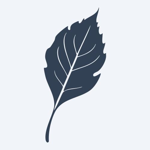 a leaf svg