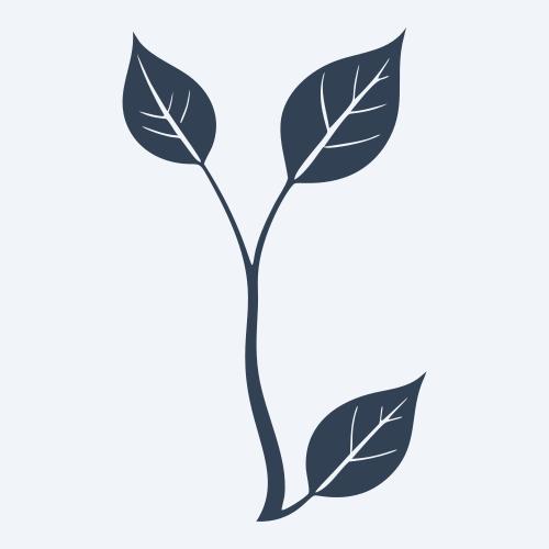 a leaf svg