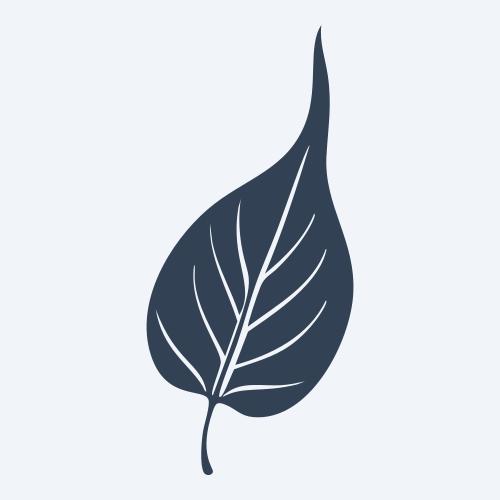 a leaf svg
