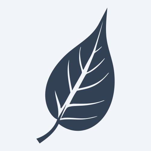 a leaf svg