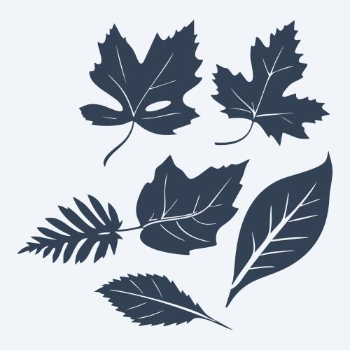 a leaf svg