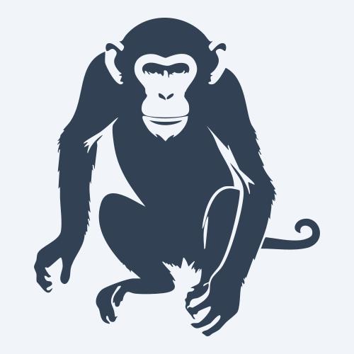 a monkey graphic