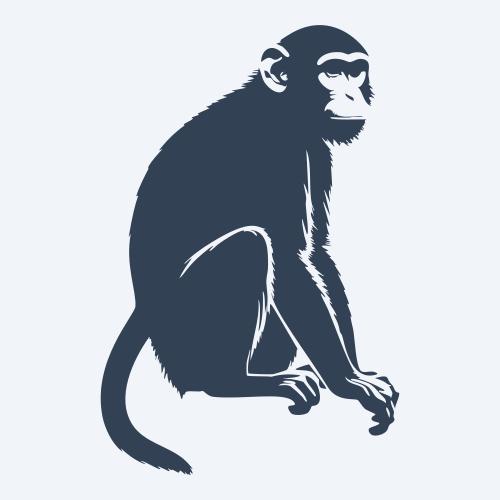 a monkey graphic