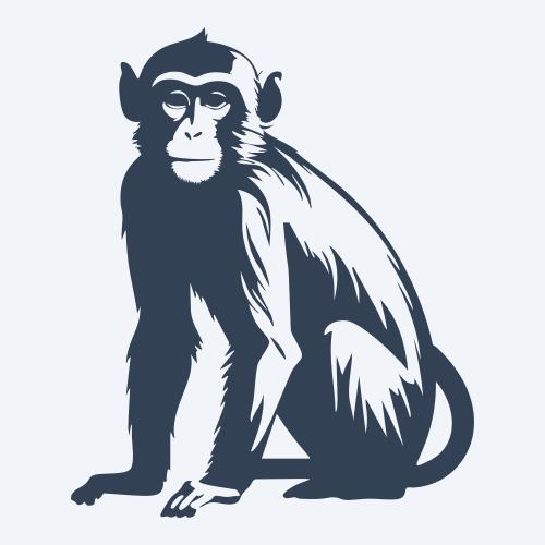 a monkey graphic