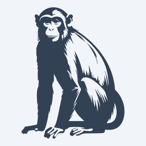 a monkey graphic